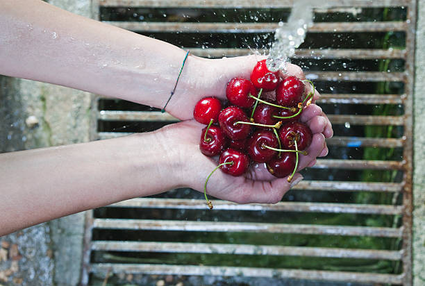istock Italy, Woman's hand washing cherries under water 527635011