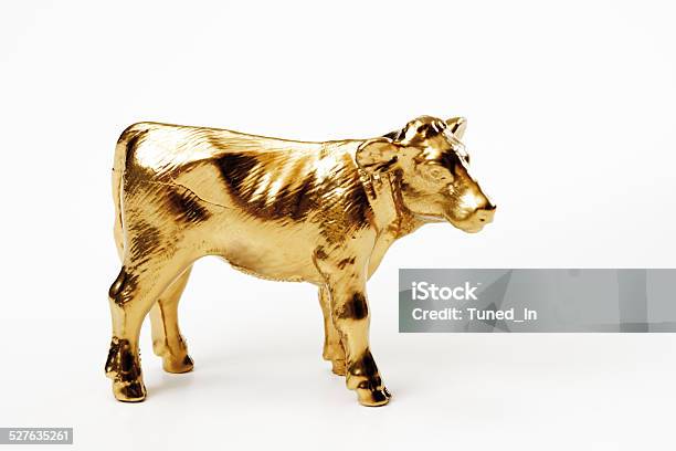 Golden Calf Closeup-foton och fler bilder på Guld - Metall - Guld - Metall, Guldgul, Kalv