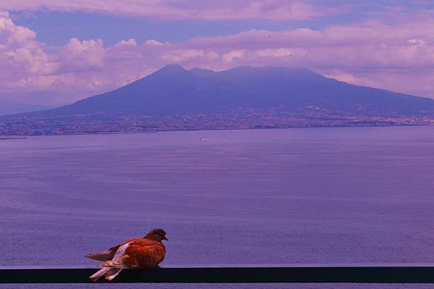 istock Naple's Bay and Vesuvio's view 527657167