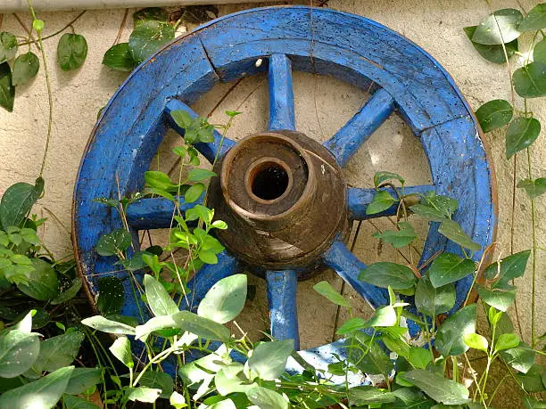 Photo of Blue Coloured Old Wheel