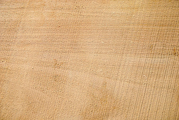 istock Texture of freshly sawn wood, background, closeup 527658483