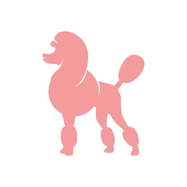 Vector illustration of Pink poodle
