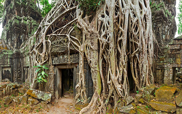 istock Ancient stone door and tree roots, Ta Prohm temple, Angkor 527660085