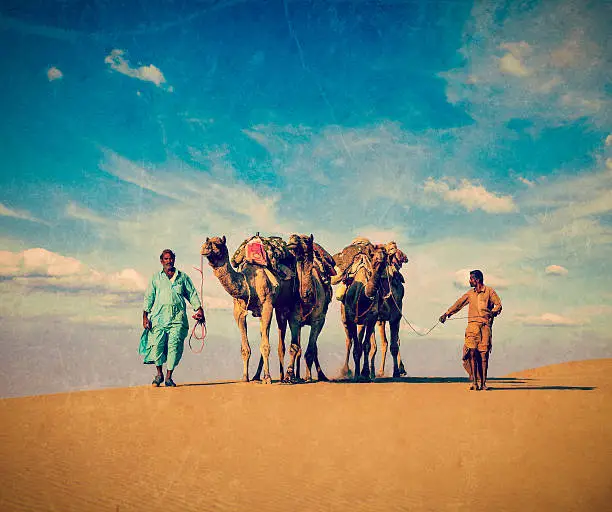 Vintage retro hipster style travel image of Rajasthan travel background - two Indian cameleers (camel drivers) with camels in dunes of Thar desert. Jaisalmer, Rajasthan, India with grunge texture overlaid