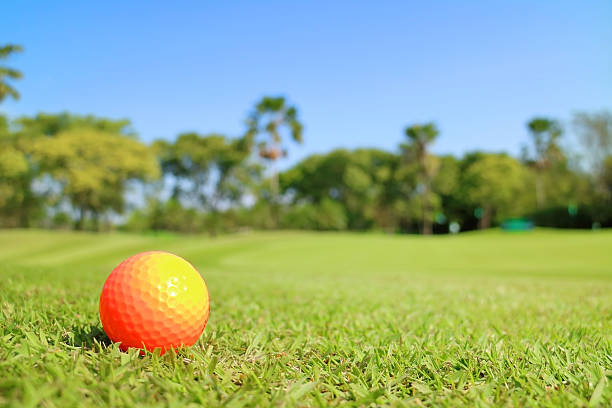 istock Golf ball on green with blurred beautiful nature scene backgroun 527661006