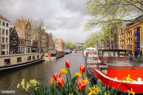 Photo libre de droit de Printemps Fleurs Tulipes Damsterdam Paysbas banque d'images et plus d'images libres de droit de Amsterdam - Amsterdam, Tulipe, Canal - Eau vive