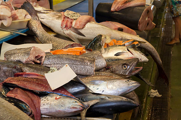 Fresh fishes in a market stock photo