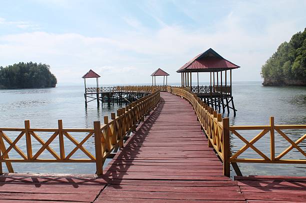 istock wooden pier 527665862