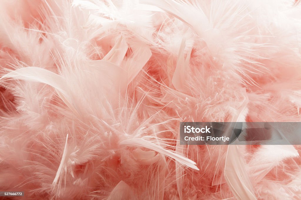 Parte : FEther Sfondo rosa - Foto stock royalty-free di Piuma