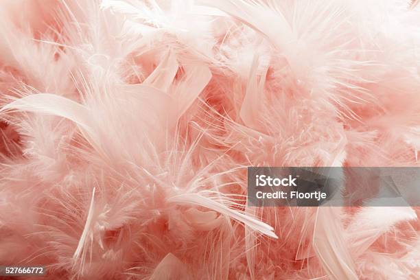 Party Pink Fether Background Stock Photo - Download Image Now - Feather, Backgrounds, Pink Color