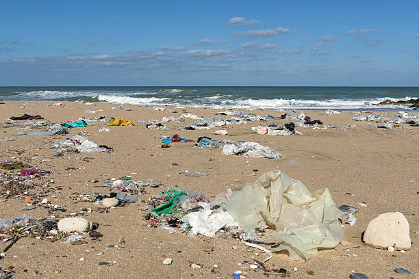 environmental pollution stock photo