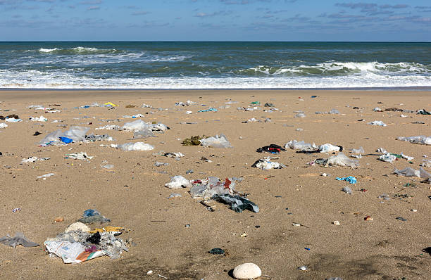 sea pollution stock photo