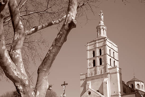 Avignon Cathedral Church, France in Black and White Sepia Tone
