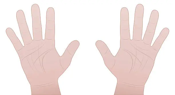 Vector illustration of Male Hands Palm Comic Illustration