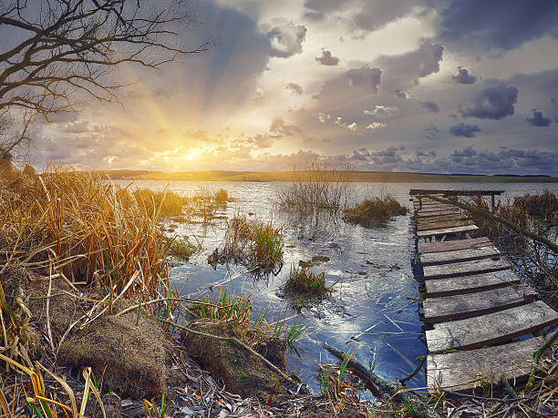 istock Old wooden pier with dry reed on sunset 527673138