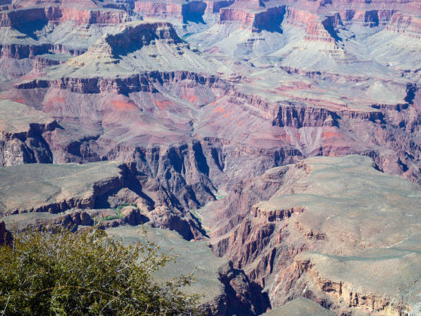 Grand Canyon National Park, Arizona, Nevada, USA Sunset view at Cape Royal on North Rim, Grand Canyon National Park, Arizona, USA. Scenic landscape of a famous place and family road trip tourist vacation travel destination. Horizontal vista of eroded, awe-inspiring sedimentary rock formation geology of desert cliff extreme terrain. Tranquil, majestic wilderness area with copy space and no people.  cape royal stock pictures, royalty-free photos & images