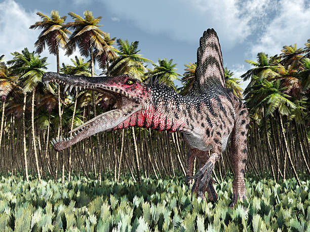 istock Dinosaur Spinosaurus in the jungle 527674454