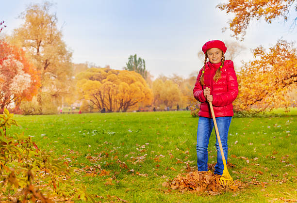 istock Beautiful girl with rake cleans grass from leaves 527674467