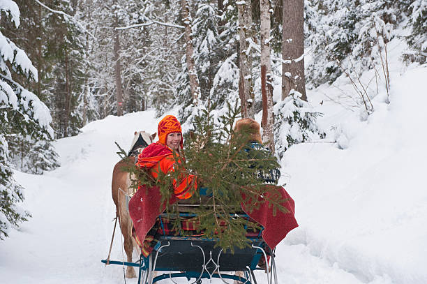 Austria, Salzburger Land, Couple  transporting Christmas tree on sleigh.
