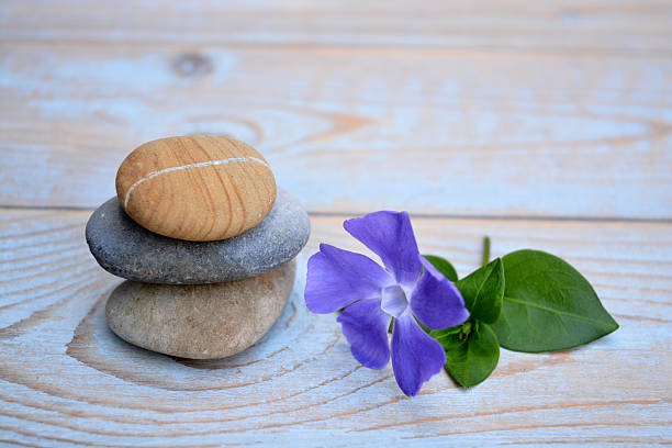 istock Three Zen stones with flower on used wood 527675757