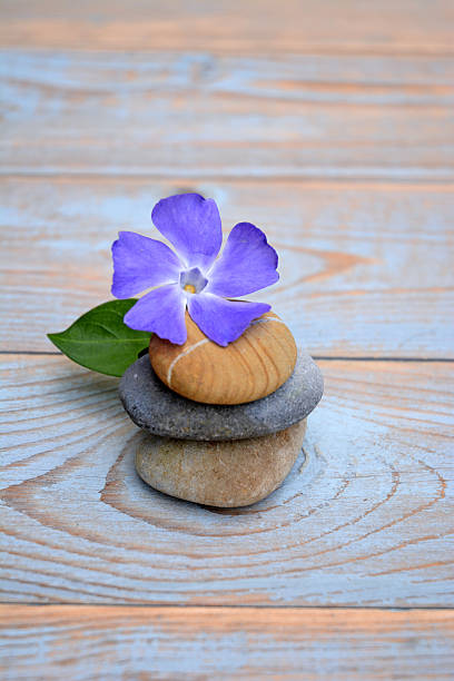 istock Three Zen stones with flower on used wood 527675859