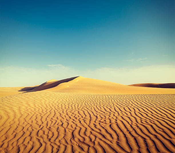 istock Dunes of Thar Desert, Rajasthan, India 527676693