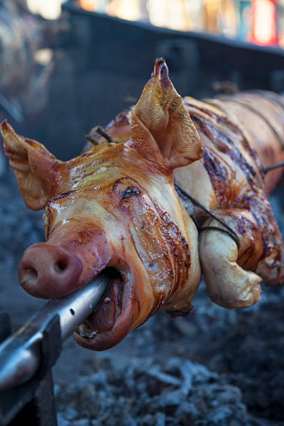 malvaviscos cerdito - spit roasted roasted roast pork domestic pig fotografías e imágenes de stock