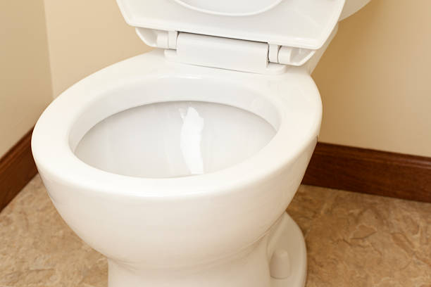 istock Bathroom Toilet Close-up 527677885