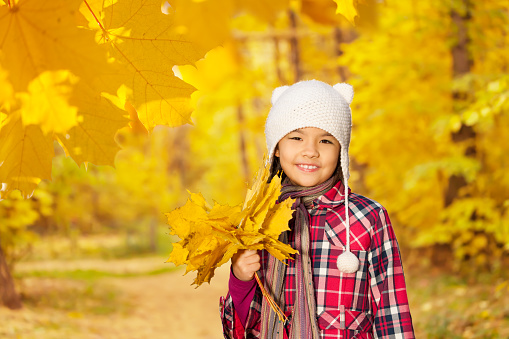 Close up view of Asian girl with bunch of yellow leaves standing alone in the forest during autumn daytime
