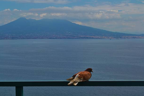 Naple's Bay. View on Vesuvio