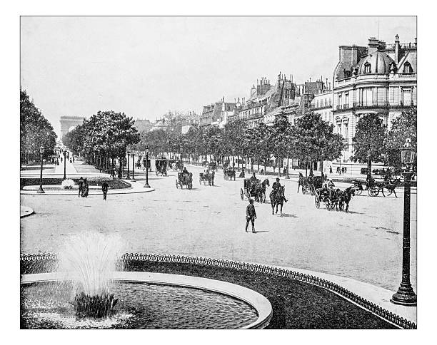 앤틱형 사진이 관광지들입니다 (파리, 프랑스) -19th 세기 - road boulevard tree street stock illustrations