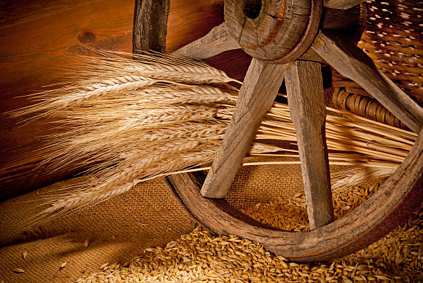 istock vintage still life with barley and old wheel 527682018