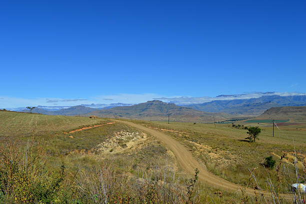 istock Drakensberg mountains with grass and trails and blue sky 527687566