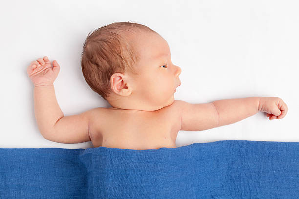 istock Cute newborn baby under a blanket 527688156