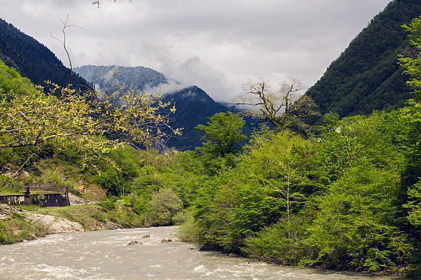 istock rapid mountain river in Abkhazia 527688200