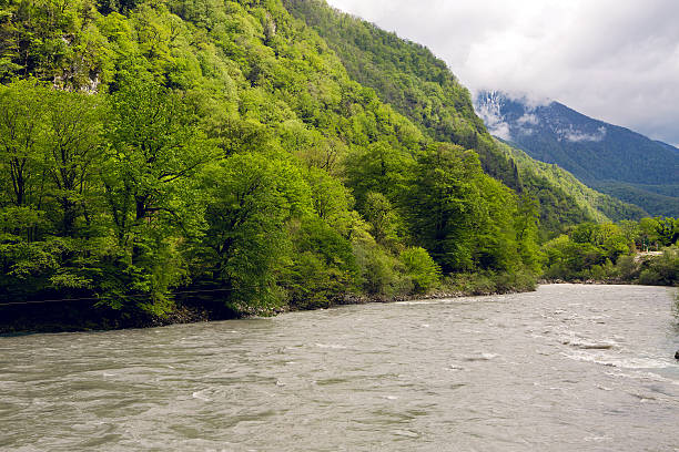 istock rapid mountain river in Abkhazia 527688296