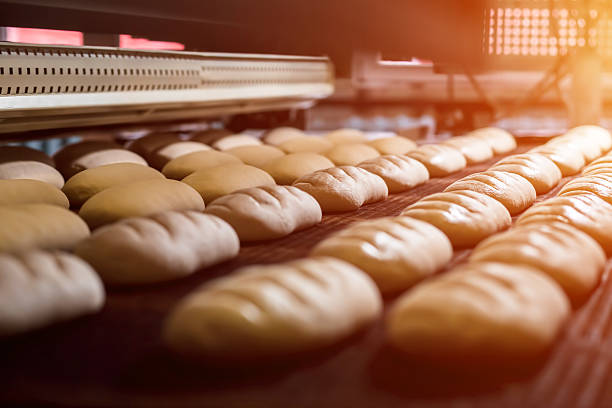 Manufacture of bread. Dessert bread baking in  oven. Production oven at the bakery. Baking  bread. Manufacture of bread. baking bread photos stock pictures, royalty-free photos & images