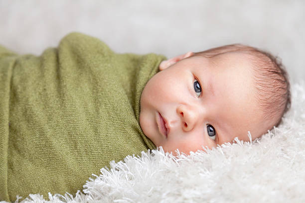 istock Beautiful newborn wrapped in a blanket 527689094