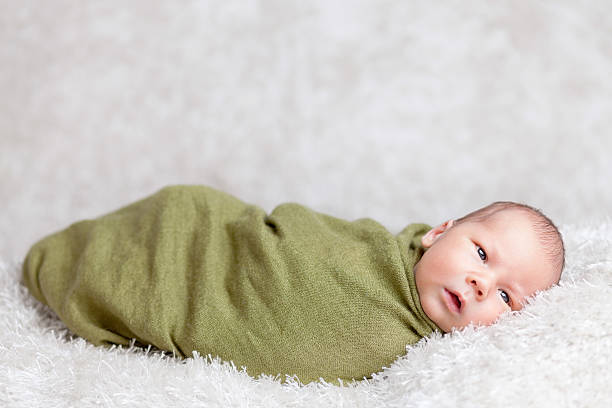 istock Beautiful newborn wrapped in a blanket 527689168