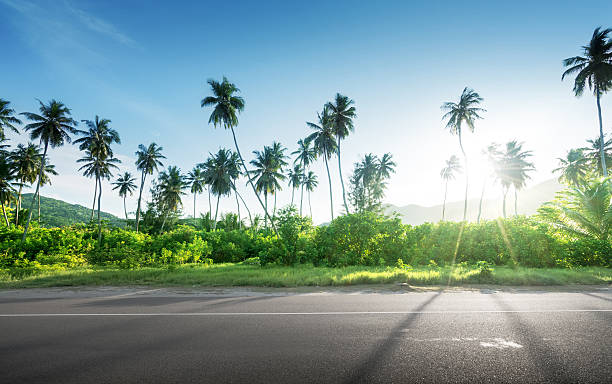 istock empty road in jungle of Seychelles islands 527690260
