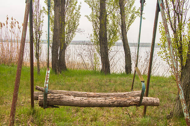 altalena al lago - freedom tire swing tire swing foto e immagini stock