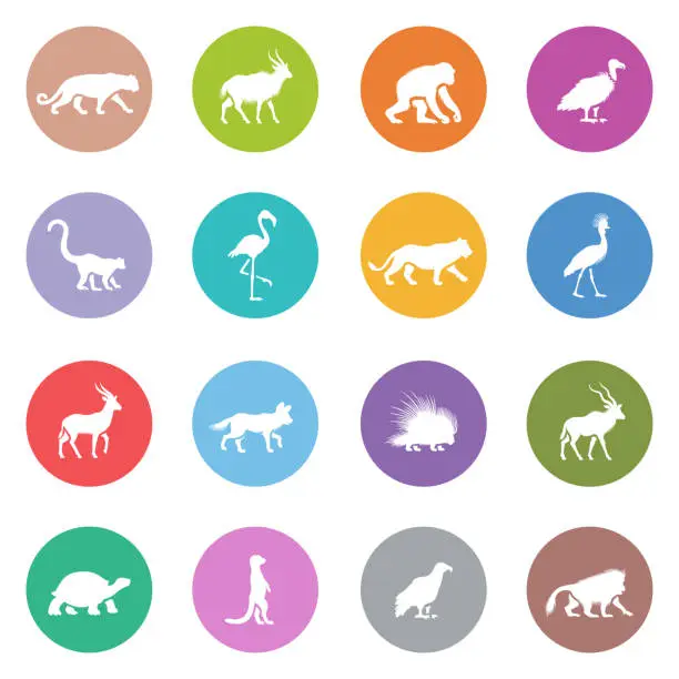 Vector illustration of African Animal Icons