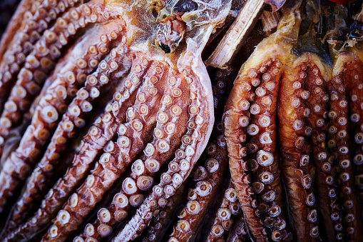 Pile of dried fish at Korean marketDried octopus at Korean market
