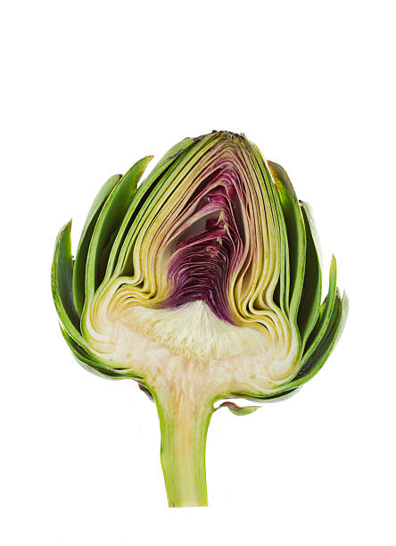 This detailed photo shows a cross section of an artichoke on a white background. The artichoke's leaves are a deep green at the top and fade to white as the ascend towards the white stem. The middle portion is a dark purple color atop the white heart, which sits centered, above the stem.