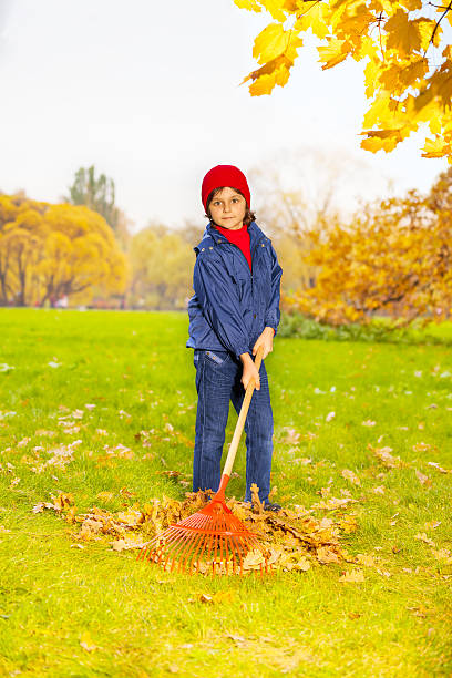 istock Boy holding red rake to clean autumn leaves 527692157