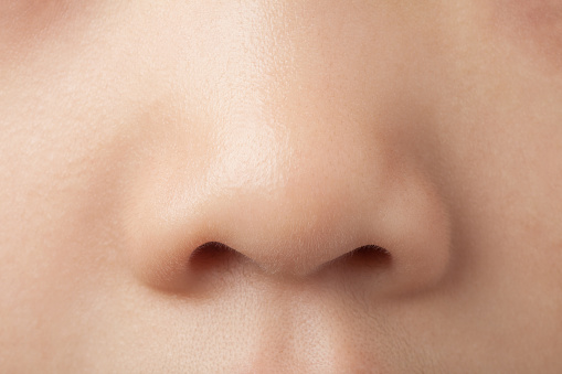 A little girl's nose close-up