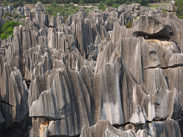 stone forest national park - the stone forest - fotografias e filmes do acervo