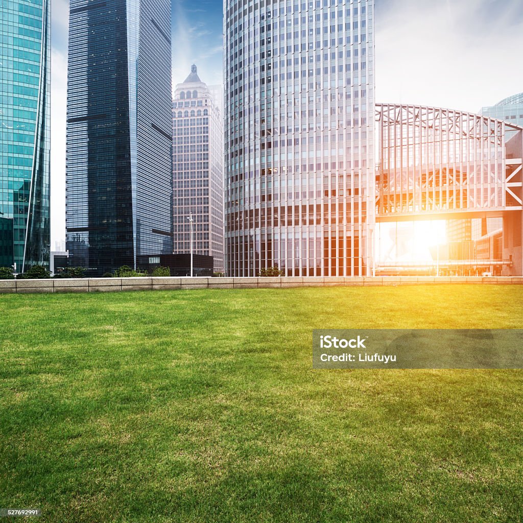 business building The lawn in the city of shanghai Activity Stock Photo