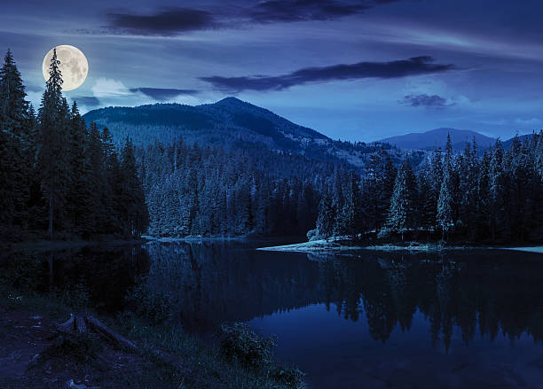 istock pine forest near the mountain lake at night 527692993
