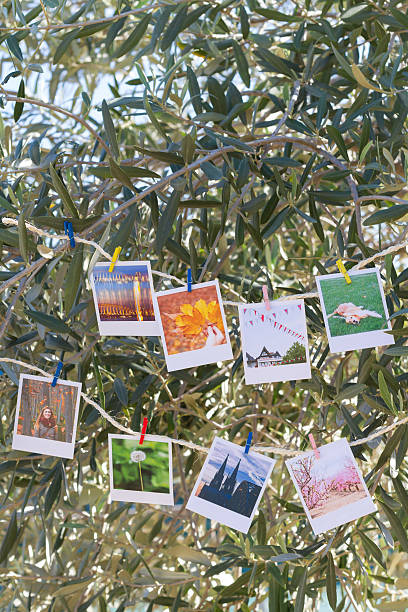 Set of photos hanging on clothesline.